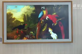 世界显示产业大会 | 画屏技术展示艺术画本真质感视频封面