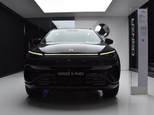 这6款新能源车开售，最便宜8万就能买，其中一辆国产车还带奔驰标