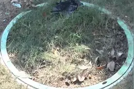 女环卫工不慎坠入8米深化粪池，不幸身亡，学会关键一招能保命视频封面