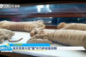 动物版木乃伊现世，埃及发现大批“猫”木乃伊，专家：或为幼狮视频封面