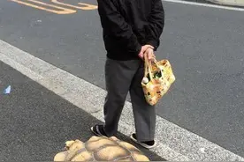 大爷每天上街溜巨龟，乌龟：像这样遛我的老头已经送走二十多个了图片