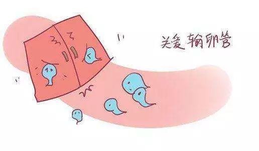 有过宫外孕也是可以自然怀孕的