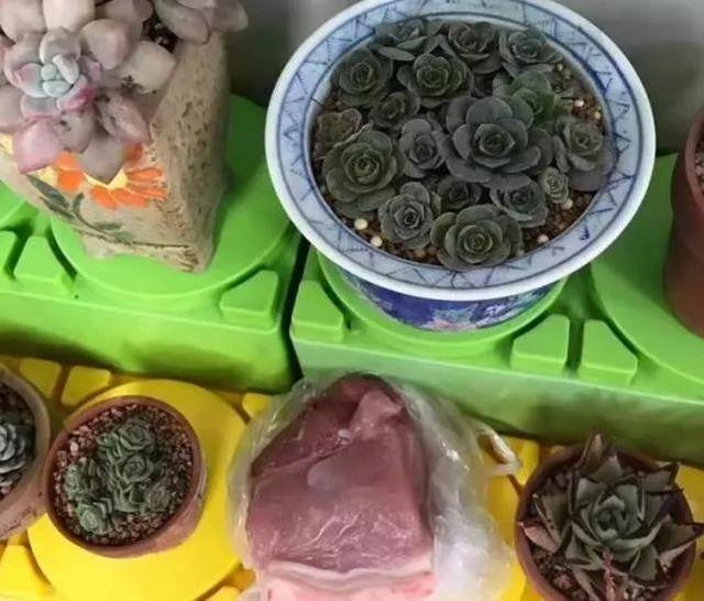 老师让小朋友带个轮胎去幼儿园，杭州一爸爸的举动笑翻网友