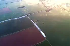 “中国死海”的冬日奇观视频封面
