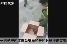 癞蛤蟆学名中华蟾蜍 男子抓44只欲挣钱却被移送审查起诉视频封面