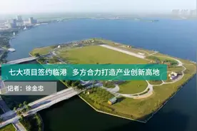 七大项目签约临港  多方合力打造产业创新高地视频封面