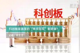 科创板家族里的“单项冠军”都是谁？视频封面