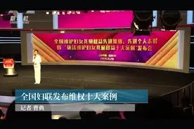 全国妇联发布维权十大案例视频封面