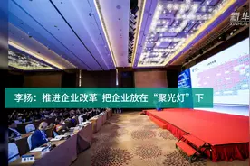 李扬：推进企业改革  把企业放在“聚光灯”下视频封面