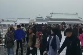故宫雪后变紫禁城，游客赏雪爆满视频封面