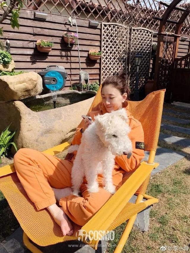 花胶和鱼皮有什么好处 花胶和鱼皮有什么好处和功效
