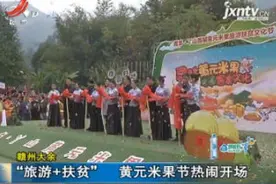 赣州大余：“旅游+扶贫” 黄元米果节热闹开场视频封面