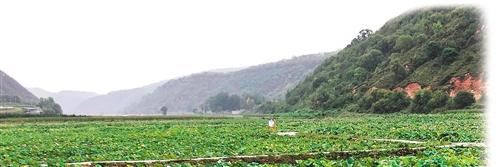 从黄土满坡到秀美山川——陕西省延安市退耕还林调研记
