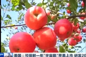 新品种苹果上市，可保鲜一年，这苹果敢吃吗？视频封面