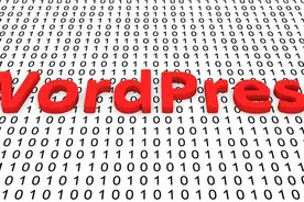 跨境电商独立站卖家必备的5个WordPress插件图片