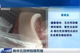 谁也不想买到病死猪肉！学会这五招，帮你挑选新鲜好猪肉！视频封面
