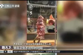 广东汕头网友爆料!火锅店里老鼠又爬橱窗又啃肉,画面让人不敢看！视频封面