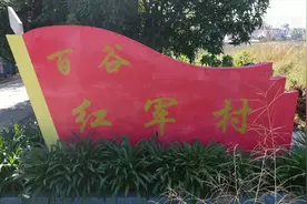 左右江红色故事|红军村里的“红歌合唱团”视频封面
