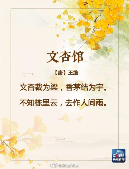 银杏的优美句子（美吟诵银杏美景的古诗词）