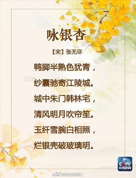 美！吟诵银杏美景的古诗词，你会背几首？