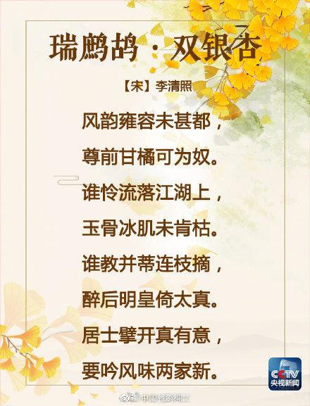 美！吟诵银杏美景的古诗词，你会背几首？