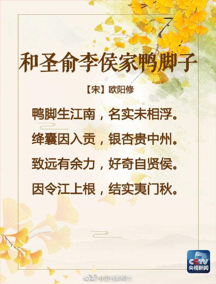 美！吟诵银杏美景的古诗词，你会背几首？