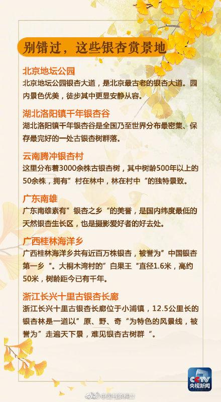 美！吟诵银杏美景的古诗词，你会背几首？