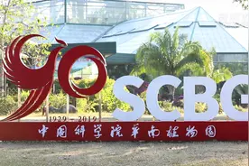 建园90年！探访广州城中的“植物王国”视频封面