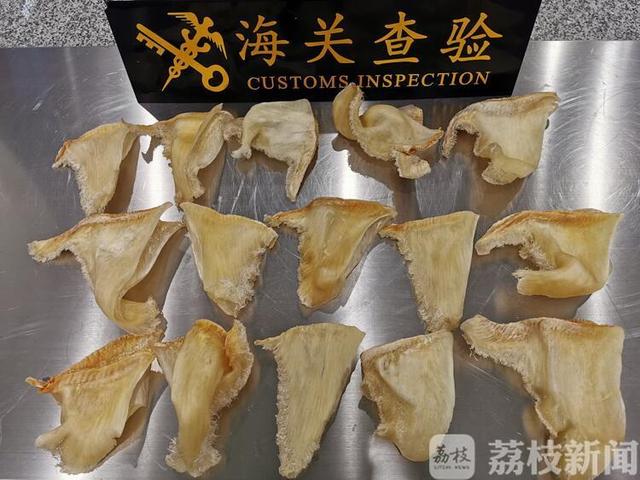 鱼翅是花胶吗 2026年鱼翅是花胶吗还是海鲜