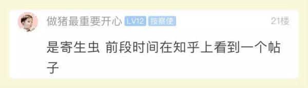 鸡皮疙瘩一下就起来了