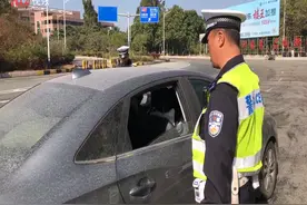 南方视频|广东严查高速后排不系安全带，交警开出200元罚单