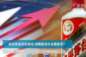 北向资金还在加仓  消费股龙头全面复苏？视频封面