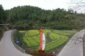 湖南双牌：“花千谷”百花争艳暖冬日视频封面