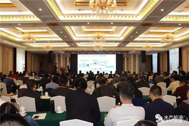 陈丹：未来饲料企业的竞争点在养殖