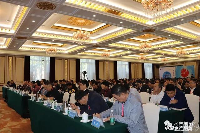 陈丹：未来饲料企业的竞争点在养殖