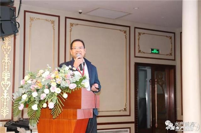 陈丹：未来饲料企业的竞争点在养殖