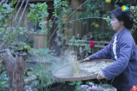 越南博主抄袭李子柒，连衣服发型都一模一样图片