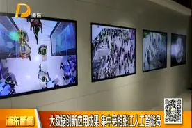大数据创新应用成果 集中亮相张江人工智能岛视频封面