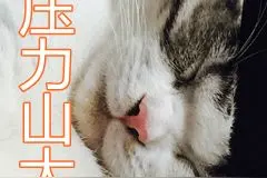 深圳今年要迎来“60年最冷冬天”？图片