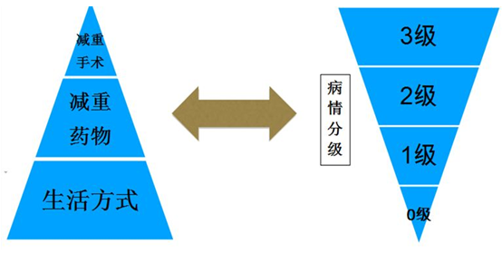 脂肪肝莫慌张，逆转脂肪肝的方法在这里
