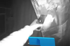 男子孵化鹦鹉卖钱，买卖双方均被刑拘视频封面