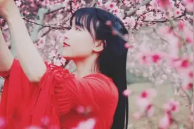 坐拥743万海外粉丝的李子柒，算文化输出吗？图片