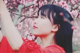 坐拥735万海外粉丝的李子柒，算文化输出吗？图片