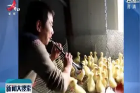 河南洛阳：野生音乐疗法养鹅 他吹唢呐听摇滚