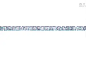 王濛：实力才是硬道理视频封面
