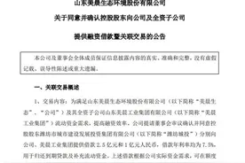 美晨生态：账面现金6.47亿，资产负债高达57.69亿图片