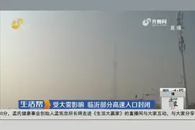 能见度低于50米！山东8市出现特强浓雾，临沂部分高速入口封闭视频封面