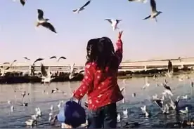 世界人权日，美国的监狱里哀嚎一片……图片