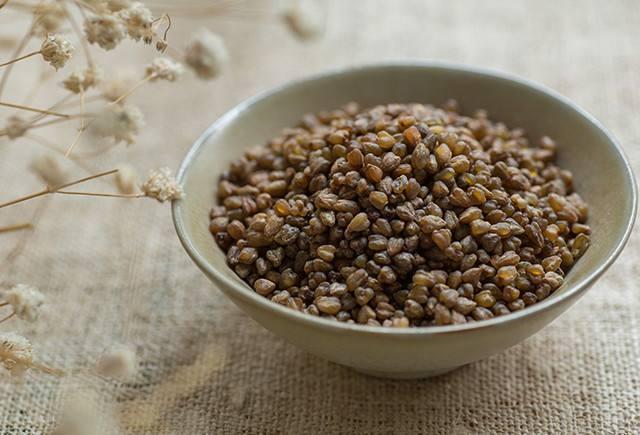 苦荞米怎么吃最好（每日一膳｜椰子水加上苦荞米）