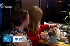 生意火爆！“星星狗狗”咖啡馆开业一年，主人、狗狗共享好时光视频封面